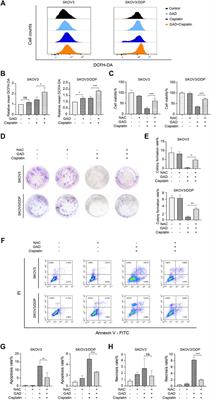 Sporoderm-Broken Spores of Ganoderma lucidum Sensitizes Ovarian Cancer to Cisplatin by ROS/ERK Signaling and Attenuates Chemotherapy-Related Toxicity